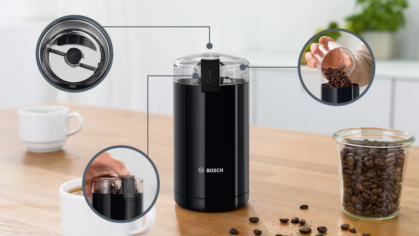 BOSCH TSM6A013B Μύλος Άλεσης Καφέ