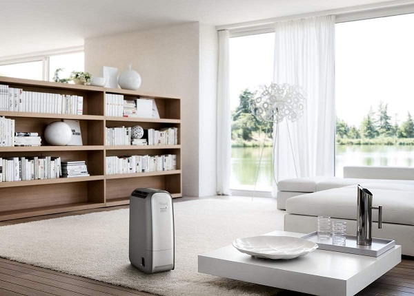 DELONGHI DNS80 Dehumidifier with Ionizer &amp; Zeolite 20 litres