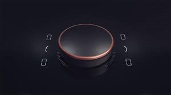 Neff T66YY4C0 Induction Cooker Flex Design 60cm 2
